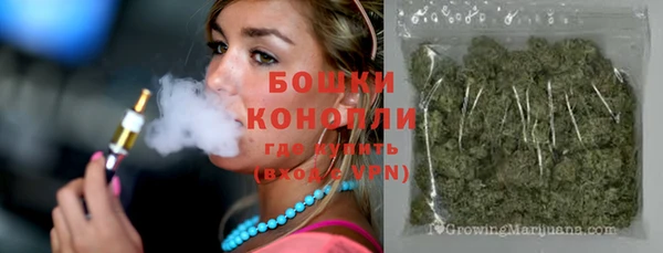 spice Бородино