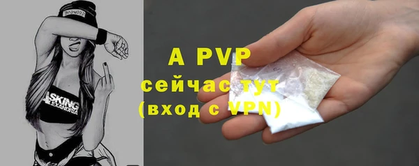 PSILOCYBIN Бронницы
