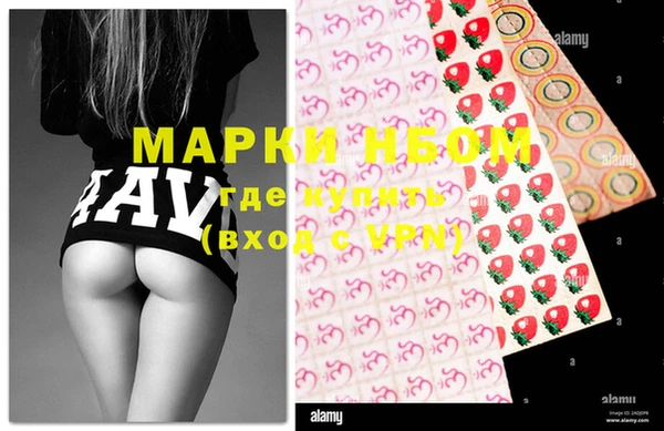 spice Бородино