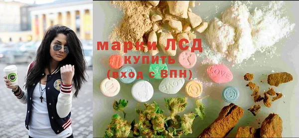 spice Бородино